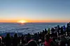 테스트