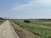 The Nakdonggang Bicycle Path hits a long, straight section south of Daegu on Oct. 1.  [JIM BULLEY]