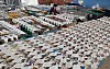 Freshly caught squid are laid out to dry in the sun in Gijang County, Busan, on Feb. 3. [YONHAP]