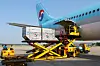 Cargo being loaded on a Korean Airlines aircraft in March. Transportation of cargo is seen having helped the performance of Korean Air Lines and Asiana Airlines in the second quarter. [NEWS1]