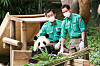 Giant panda Fu Bao takes a photo with zookeepers Kang Cheol-won and Song Young-gwan at Everland in Yongin, Gyeonggi, on Tuesday. [NEWS1]