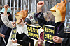 Animal rights activists hold a rally at Gwanghwamun Square in central Seoul on March 23, calling for appropriate punishment for the person responsible for the deaths of more than 1,000 cats and dogs. [YONHAP]