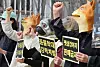Animal rights activists hold a rally at Gwanghwamun Square in central Seoul on March 23, calling for appropriate punishment for the person responsible for the deaths of more than 1,000 cats and dogs. [YONHAP]