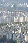 테스트