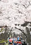 테스트