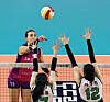 Jelena Mladjenovic, left, of the Incheon Heungkuk Life Pink Spiders attacks during a V League game against Suwon Hyundai Engineering & Construction at Incheon Samsan World Gymnasium in Incheon on Jan. 11. [NEWS1]