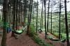Visitors participate in a healing program in the forest in Mount Chungnyeong in Jangseong County, South Jeolla. [JANGSEONG COUNTY]