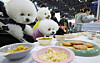 Dogs look at dog treats on display at Megazoo 2025 at the Korea International Exhibition Center in Goyang, Gyeonggi, on Nov. 23. The pet exhibition kicked off on Nov. 21. [NEWS1]