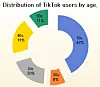 This chart is based on distribution data on the age of TikTok users in 2020, by WiseApp. [WISEAPP]