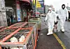 테스트