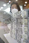 An employee organizes stacks of dollar bills at Hana Bank's Counterfeit Notes Response Center in Jung District, central Seoul on Thursday. According to the Bank of Korea (BOK), Korea's foreign exchange reserve at the end of April was $452.3 billion, up $6.2 billion on month. This is also higher than the record of $448 billion at the end of February. [YONHAP]