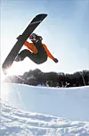 테스트