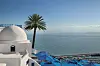 Sidi Bou Said, a town in Tunisia, is seen overlooking the Mediterranean Sea. [EMBASSY OF TUNISIA]