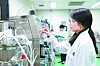 A researcher is working in the lab of the pharmaceutical company Yuhan. [YUHAN]