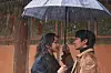 “Decision to Leave” (2022) starring Tang Wei and Park Hae-il, is the fifth collaboration between Park and Jeong, for which Park won Best Director at this year’s Cannes. [CJ ENM]