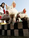 테스트