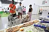 Dogs eye pet food samples displayed at the Daegu Pet Show 2023 held in Exco, Daegu, on June 9. [NEWS1]