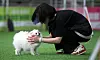 A pet owner spends time with her puppy at a dog playground in Songpa District, southern Seoul, on May 18. [NEWS1]