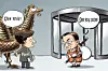 테스트