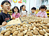 Children crack bureom, or nuts, a tradition during the Jeongwol Daeboreum holiday, at a kindergarten for kids whose parents are employees at the Buk District Office in Gwangju on Thursday. [BUK DISTRICT OFFICE]