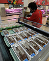 A consumer shops for a squid at a discount mart in Seoul on Thursday. Squid catch from the East Sea dropped significantly by 43 percent year-on-year to 26.2 tons from July 2 to 8, according to the National Institute of Fisheries Science due to the rise of water temperature caused by climate change and overfishing by China. [NEWS1]