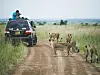 A photo taken at the Nairobi National Park, provided by the Kenyan Embassy in Seoul. [EMBASSY OF KENYA IN KOREA]