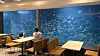 A family watches fish swim past at Twosome Place Gyeongju Gampo Port Branch. [WOO JI-WON]