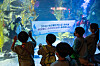 Children watch an underwater performance that shows support for Busan to host World Expo 2030 at the Lotte World Aquarium in Songpa District, southern Seoul on Monday. [YONHAP]
