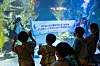 Children watch an underwater performance that shows support for Busan to host World Expo 2030 at the Lotte World Aquarium in Songpa District, southern Seoul on Monday. [YONHAP]