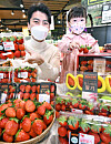 Models hold up strawberries that will be sold during Homeplus' Sweet Berry Festival at a Homeplus branch in Gangseo District, western Seoul, on Wednesday. Different varieties of the fruit will be sold at discount prices during the event, which runs until Dec. 15. [HOMEPLUS]