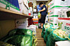 An owner of a store at Mapo Agricultural and Marine Products Market in Mapo District, western Seoul, stores cabbages in a refrigerator Tuesday. According to the Korea Agro-Fisheries & Food Trade Corporation, the price of cabbage per 10 kilograms (22 pounds) was 20,240 won ($15.4) as of Friday, up 74.9 percent from the same day the previous week, amid poor harvests due to monsoon rains and the prolonged heatwave. [NEWS1]