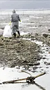 테스트