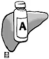 테스트