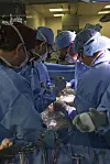 Surgeons perform the world’s first genetically modified pig kidney transplant into a living Human at Massachusetts General Hospital, Saturday, March 16, 2024, in Boston, Mass. [Massachusetts General Hospital via AP]