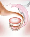 테스트