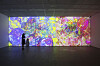 Visitor's shadows become part of Jennifer Steinkamp's video installation ’Retinal 1, 2“ (2019). [Leeahn Gallery]