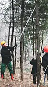 테스트