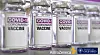 The first shipment of AstraZeneca’s Covid-19 vaccine is expected in Korea in February or March. [ASTRAZENECA]