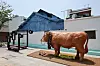 Somak Village in Uam-dong, Nam District, Busan [SONG BONG-GEUN]