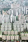 테스트