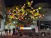 A tree is decorated with Buddhist lanterns in central Seoul on April 30, ahead of Buddha's birthday which falls on May 5 this year. [LEE SOO-JUNG]
