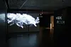 The ″Real Fiction″ exhibition at the Art Center Nabi in 2017. [ART CENTER NABI]