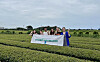 Winners of a reporting competition co-hosted by the Korea JoongAng Daily and Amorepacific explore a tea farm at the Osulloc Tea Museum in Seogwipo, Jeju Island, last Thursday. The sponsored trip was part of the first “K-campus x Amorepacific Student Ambassador” program, a collaboration between the paper’s K-campus project and the beauty and cosmetic giant. [DANIELA GONZALES PEREZ]