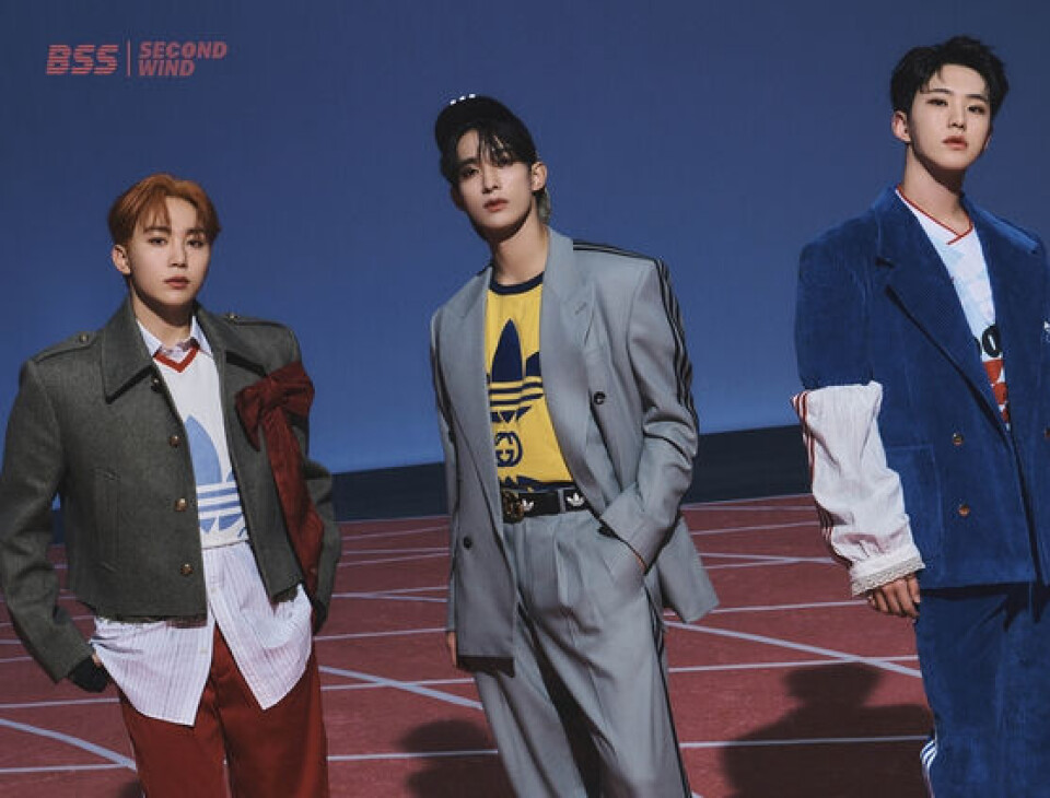 Seventeen subunit BSS sells nearly half million copies of single ...