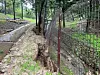 Soil has eroded inside a graveyard known as the Tomb of Ten Thousand Patriotic Martyrs in Namwon, North Jeolla, on Tuesday. [CHA]