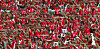 Fans cheer for the Korean national team during a 2002 FIFA World Cup Group D game against the United States at Daegu World Cup Stadium in Daegu on June 10, 2002. [JOINT PRESS CORPS]