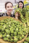테스트