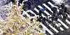 People cross the street in Jongno District, central Seoul underneath a snow-covered gingko tree on Wednesday. [NEWS1]