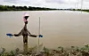 A scarecrow stands above a submerged farm in Nonsan, South Chungcheong, on Sunday. [NEWS1]