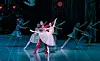 The Korean National Ballet's 'The Nutcracker' has adapted Russian choreographer Yuri Grigorovich's version of the Bolshoi Ballet. [KNB]